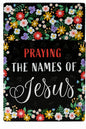 Praying the Names of Jesus - Box Front